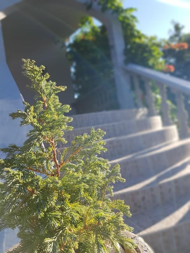 Maslina Apartment Jadrtovac Ngoại thất bức ảnh